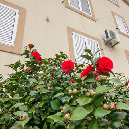 Apartments Savic Herceg Novi Extérieur photo