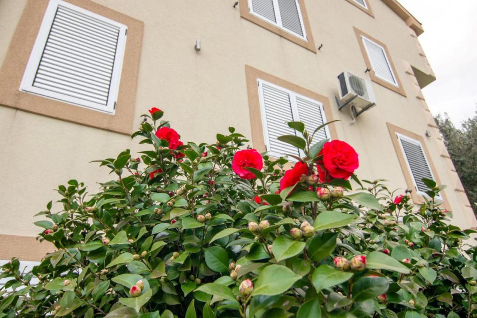 Apartments Savic Herceg Novi Extérieur photo